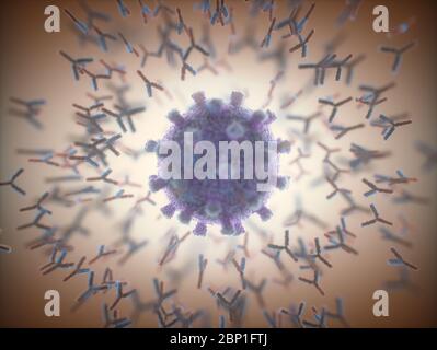 Immunologisches System, Antikörper, die das Virus Covid-19 angreifen. 3D-Darstellung, Konzept des Abwehrsystems des Körpers. Y-förmiger Antikörper, der den angreift Stockfoto