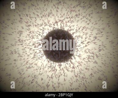 Immunologisches System, Antikörper, die das Virus Covid-19 angreifen. 3D-Darstellung, Konzept des Abwehrsystems des Körpers. Y-förmiger Antikörper, der den angreift Stockfoto