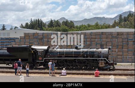 Elgin, Westkap, Südafrika. 2019. Touristen beobachten eine Diesel-Lokomotive während eines Besuchs in Elgin Bahnhof in der Overberg Region Stockfoto