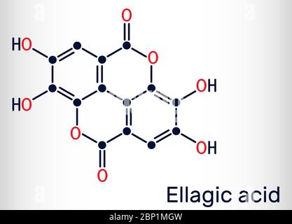 Ellaginsäure, C14H6O8-Molekül. Es ist natürliche Phenol Antioxidans, Nahrungsergänzungsmittel. Chemische Formel des Skeletts. Vektorgrafik Stock Vektor