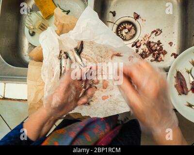 Hände des älteren Hauswirbes rentatfrau trägt transparente Handschuhe Reinigung Sardellen Fisch aus Kopf und Eingeweide Stockfoto