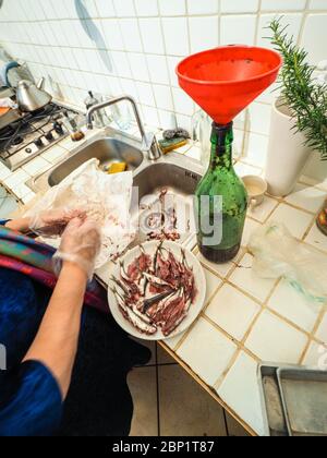 Hände des älteren Hauswirbes rentatfrau trägt transparente Handschuhe Reinigung Sardellen Fisch aus Kopf und Eingeweide Stockfoto