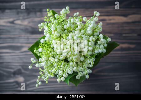 Maiglöckchen Blumen, auf Holzhintergrund. Selektiver Fokus Stockfoto