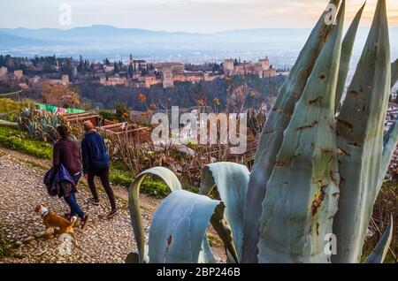 Granada, Spanien - 17. Januar 2020: Zwei junge Männer mit Hund spazieren am Aussichtspunkt San Miguel Alto mit dem Alhambra-Palast im Hintergrund. Stockfoto