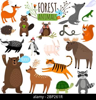 Waldtiere. Wald niedlichen Tier gesetzt Zeichnung Vektor-Illustration wie Elch oder Hirsch und Waschbär, Fuchs und Bär isoliert auf weiß Stock Vektor