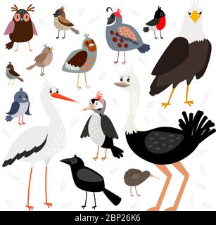 Vögel. Vector Vogelsammlung auf weißem Hintergrund isoliert, Krähe und amerikanischer Adler, Taube und Specht, Strauß und Spatz Stock Vektor