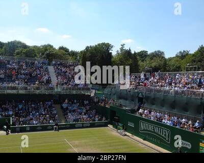 Die Menge beim WTA Nature Valley Classic Frauen Tennisturnier im Edgbaston Priory Club, Birmingham. Freitag, 22. Juni 2018 Stockfoto