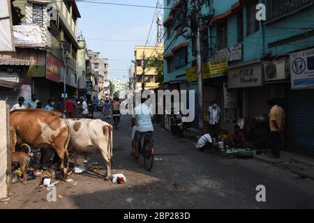 Howrah, Indien. Mai 2020. Das tägliche Leben am siebten Sonntag, 54. Tag und der letzte Tag der 3. Phase der landesweiten kontinuierlichen Sperrung in Indien. Diese Howrah Municipal Area, die als Containment Zone für die nicht zu verbreiten Novel Coronavirus (COVID-19) markiert wurde. Menschen dürfen nicht aus dem Haus gehen, um Lebensmittel und andere Dinge auf der Straße oder auf dem Markt zu kaufen, um die Verbreitung von COVID-19 zu begrenzen. (Foto von Biswarup Ganguly/Pacific Press/Sipa USA) Quelle: SIPA USA/Alamy Live News Stockfoto