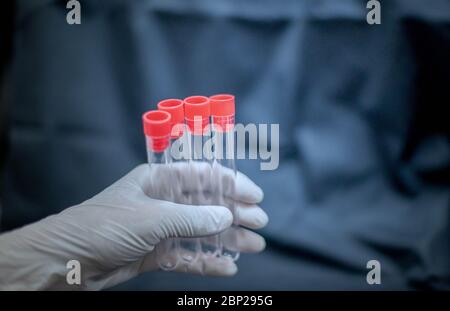 Wissenschaftler Hand hält Reagenzglas und tragen chirurgischen Handschuh Vorbereitung auf das wissenschaftliche Experiment im Laborraum. Stockfoto