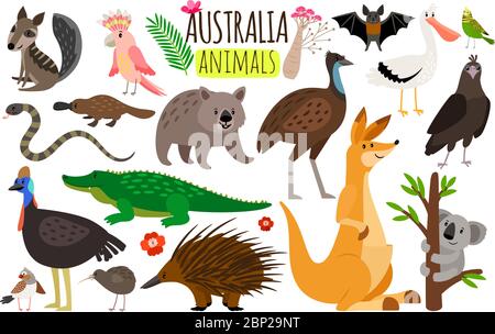 Australische Tiere. Vektor Tier-Ikonen von Australien, Känguru und Koala, Wombat und Strauß emu, Schnabeltiere und Echidna im Cartoon-Stil isoliert auf weißem Hintergrund Stock Vektor