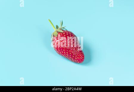 Single, frisch, rote Erdbeere auf hellblauem Hintergrund Stockfoto