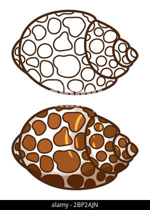 Kids Malseite mit Cartoon und Umriss Muschel isoliert auf weißem Hintergrund, Vektor-Illustration Stock Vektor