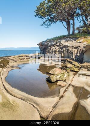 Bei Ebbe an einem sonnigen Tag wird ein Tiepool von erodierten Kanälen im glatten Sandsteinstrand auf einer kleinen Insel auf den Flat Top Islands von British Columbia umrahmt. Stockfoto