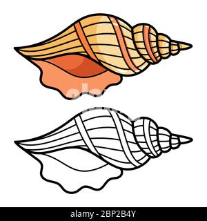 Cartoon Muschel isoliert auf weißem Hintergrund. Bunte und skizzieren Shell für Kinder Malvorlagen, Vektor-Illustration Stock Vektor