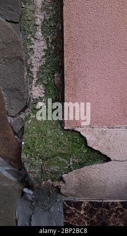 Verwitterte Wandstruktur Nahaufnahme mit beschädigter rosa Schicht und rissiger Stuckoberfläche. Die Wand des Grundgebäudes war mit grünem Moos bedeckt, da sie feucht war. Konstruktion Stockfoto