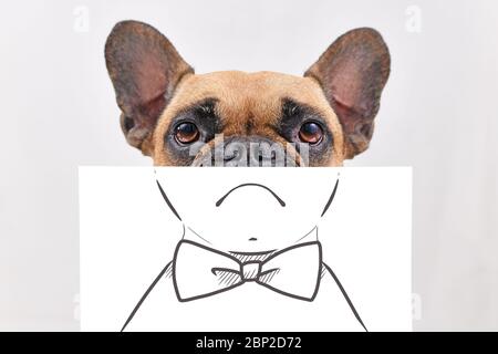 Französische Bulldogge Hund mit Hälfte des Gesichts mit weißem Papier Blatt mit auf traurigen Mund und Fliege bemalt bedeckt Stockfoto