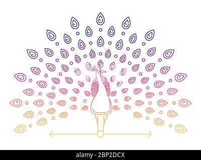 Farbe dünne Linie Pfau Logo. Outline Pfau Etikett isoliert auf weißem Hintergrund, Vektor-Illustration Stock Vektor