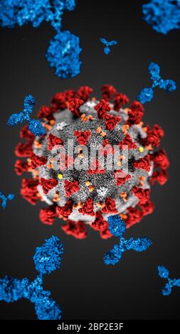 Abbildung auf dem Plasma von Patienten mit COVID 19 reich an Antikörpern (Immunglobulin IgG und Modellierung des Coronavirus). Stockfoto