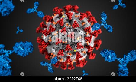 Abbildung auf dem Plasma von Patienten mit COVID 19 reich an Antikörpern (Immunglobulin IgG und Modellierung des Coronavirus). Stockfoto