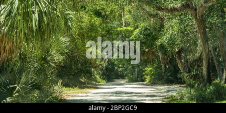 Wunderschöne landschaftlich reizvolle Fahrt in Ponce Inlet, Florida, südlich von Daytona Beach Shores. (USA) Stockfoto