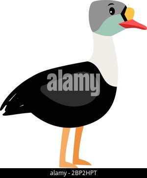 Eider niedlichen Cartoon Vogel Symbol isoliert auf weißem Hintergrund, Vektor-Illustration Stock Vektor