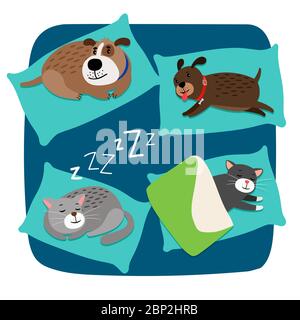 Schlafende Hunde und Katzen auf Kissen, Vektorgrafik Stock Vektor