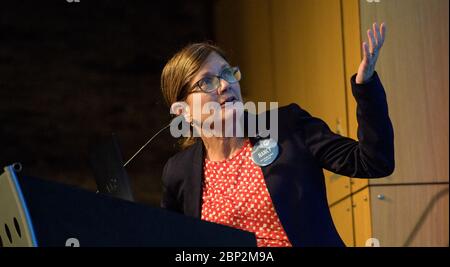 2018 Earth Science Applications Showcase Capacity Building Program Manager für das Programm der NASA für angewandte Wissenschaften (Earth Science Division) Nancy Searby spricht während der 2018 Annual Earth Science Applications Showcase, Mittwoch, 1. August 2018 im NASA-Hauptsitz in Washington. Jeden Sommer kommen Studenten und junge Berufstätige des NASA-Programms DEVELOP National Program in die NASA-Zentrale und präsentieren ihre Forschungsprojekte. DEVELOP ist ein Ausbildungs- und Entwicklungsprogramm, in dem Studenten an Erdforschungsprojekten arbeiten, betreut von Wissenschaftsberatern der NASA und Partner agenci Stockfoto