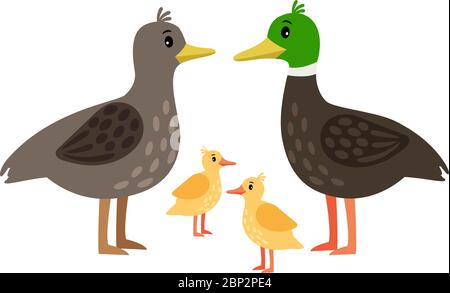 Entenfamilie. Vector Mutter Ente, drake und kleine Entchen isoliert auf weißem Hintergrund Stock Vektor