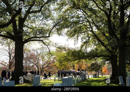 Alan Bean Interment EIN von Pferden gezogener Caisson trägt den ehemaligen Astronauten Alan Bean während einer Intermentszeremonie am Donnerstag, 8. November 2018 auf dem Arlington National Cemetery in Virginia zu seiner letzten Ruhestätte. Bean wurde 1963 als Astronaut ausgewählt und flog zweimal im All, wurde der vierte Mensch, der am 19. November 1969 auf dem Mond ging und verbrachte 59 Tage im All als Kommandant der zweiten Skylab-Mission 1973. Stockfoto