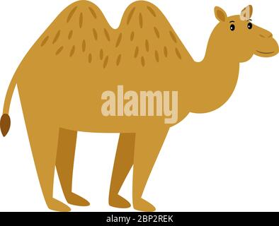 Kamel. Cartoon Vektor Wohnwagen Kamel Charakter isoliert auf weißem Hintergrund Stock Vektor