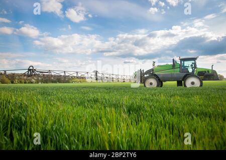 Traktor Spritzen Pestizide, Düngen auf dem Gemüsefeld mit Sprüher im Frühjahr, Düngekonzept Stockfoto