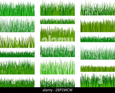 Vektor grünes Gras. Gras Grenze horizontal nahtlose Muster auf weißem Hintergrund isoliert Stock Vektor