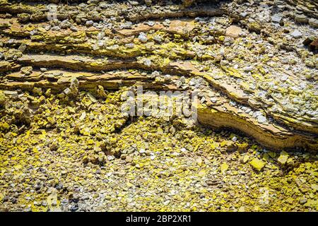 Wai-O-Tapu heiße Quellen, Rotorua, Neuseeland. Ein aktives geothermisches Gebiet auf der Nordinsel innerhalb der Vulkanzone Taupo. Stockfoto