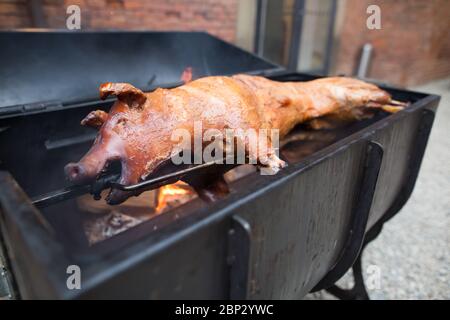 Gegrilltes kleines Schwein, Schweinefleisch gebraten ganz auf offenem Feuer, BBQ, Grill-Konzept Stockfoto