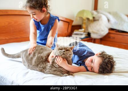 Glückliche Kinder mit ihrem Haustier auf dem Bett. Junge und Mädchen spielen mit Katze auf einem Bett in der Heimat. Stockfoto