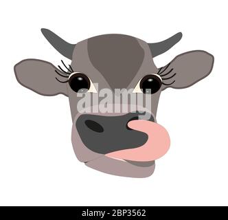 Kopf einer grau-braunen Kuh mit großen Augen und Zunge, die auf einem weißen Hintergrund hervorsteht Stock Vektor