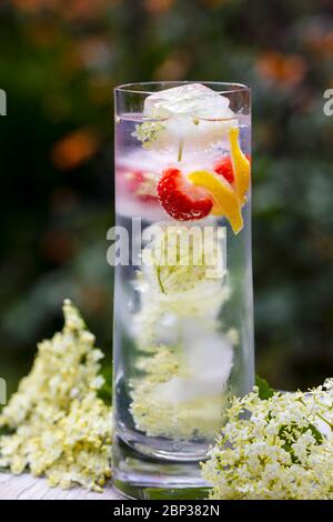 Gin Tonic mit Eldehußwürfeln und strawbery garnieren Stockfoto