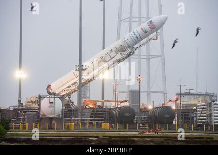 Orbital ATK CRS-9 Raise on the Pad die Orbital ATK Antares Rakete mit dem Cygnus Raumschiff an Bord wird am Start Pad-0A, Freitag, 18. Mai 2018, in Wallops Flight Facility in Virginia angehoben. Die Antares wird mit dem Cygnus-Raumschiff starten, das mit 7,400 Pfund Fracht für die Internationale Raumstation ISS gefüllt ist, einschließlich Wissenschaftsexperimenten, Crew-Zubehör und Fahrzeughardware. Die Mission ist Orbital ATK's neunter vertraglich vereinbarter Frachtzulieferflug zur ISS für die NASA. Stockfoto