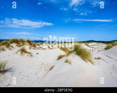 Der weiße Sand von is Arenas Biancas Strand, mit hohen, weißen Dünen genannt Le Dune, Sant'Anna Arresi, Sardinien, Italien Stockfoto