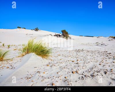 Der weiße Sand von is Arenas Biancas Strand, mit hohen, weißen Dünen genannt Le Dune, Sant'Anna Arresi, Sardinien, Italien Stockfoto