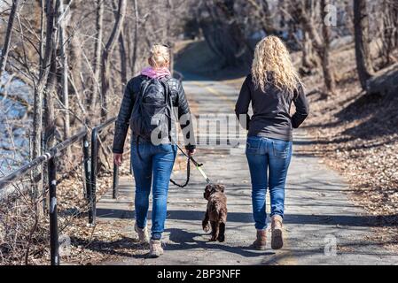 Zwei blonde Freundinnen, die einen Hund spazieren Stockfoto