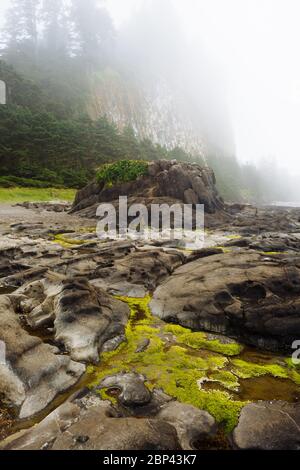 Tow Hill im Naikoon Provincial Park, Haida Gwaii, British Columbia Stockfoto