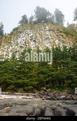 Tow Hill im Naikoon Provincial Park, Haida Gwaii, British Columbia Stockfoto