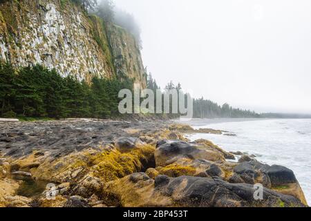 Tow Hill im Naikoon Provincial Park, Haida Gwaii, British Columbia Stockfoto