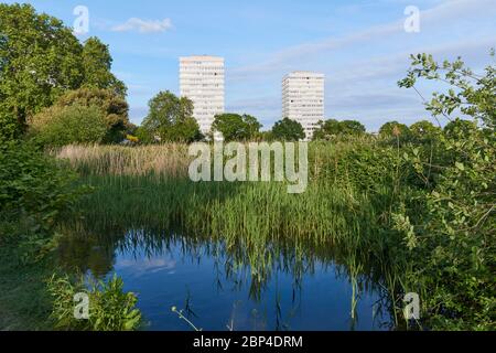 Der New River im Woodberry Wetlands Nature Reserve, North London, im Sommer Stockfoto