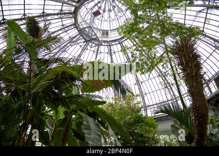 Toronto, Ontario / Kanada - 06/05/2017: Allen Garden - ein öffentlicher Stadtpark mit einem Konservatorium in der Innenstadt von Toronto, Ontario, Kanada Stockfoto