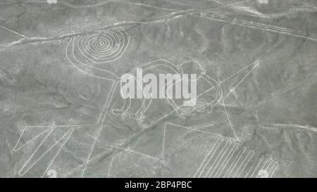 Die Affenfigur, Nazca Lines, Peru Stockfoto