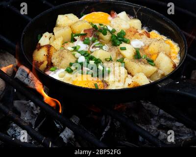 Rührei mit Kartoffeln und grünen Zwiebeln in einer Pfanne auf einem Feuer gebraten Stockfoto