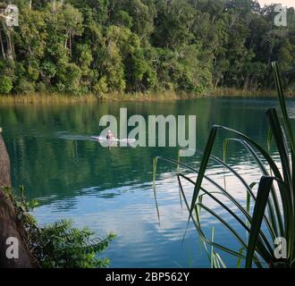 Frau auf dem Kajak auf dem ruhigen Lake Eacham, Crater Lakes National Park, Atherton Tableland, Queensland, Australien. Keine MR oder PR Stockfoto