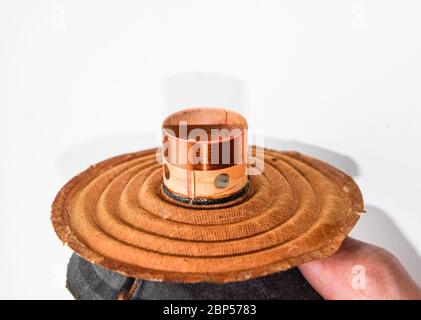 Das bewegliche System des Mitteltöners 20gds-3 der sowjetischen Produktion. Diffusor und Magnetspulenlautsprecher. Stockfoto